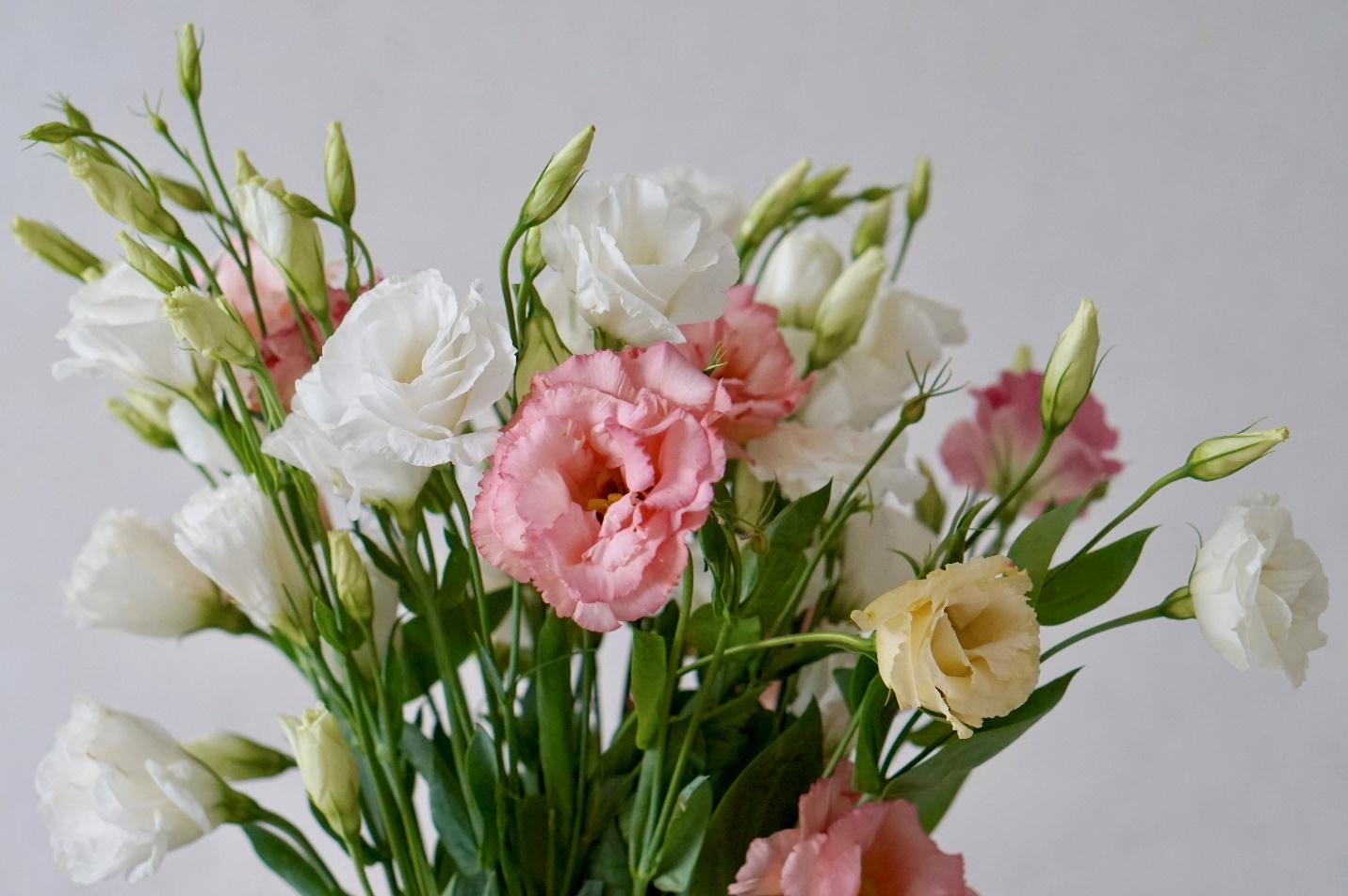 3-best-flowers-for-mother's-day-in-singapore-4